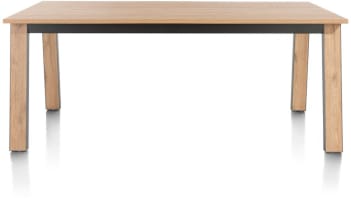 table 170 x 100 cm
