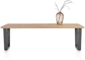 table 230 x 100 cm - pied métal en V