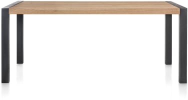 eetkamertafel 160 x 100 cm - metalen u-poot