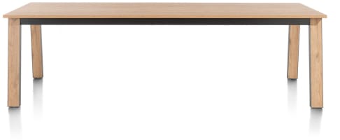 table 230 x 100 cm