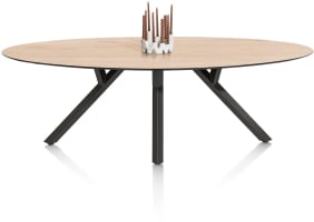 Tisch - Ellipse - 240 x 110 cm.