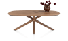 H&H - Grenade - table ovale 210 x 120 cm