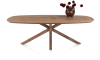 H&H - Grenade - table ovale 240 x 120 cm