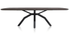 H&H - Vérone - Moderne - table ovale 250 x 108 cm