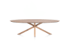 H&H - Grenade - table ellipse 270 x 120 cm