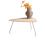 ?_TYPE:PRODUCT