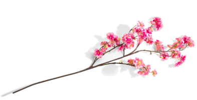 Cherry blossom spray H120cm