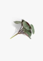 Saxifrage Mini Bush H13cm kunstbloem