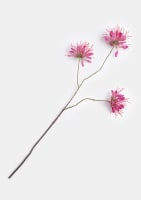 cleome  fleur artificielle