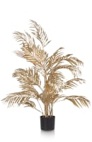 Areca Palm plant H105cm