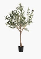Olive Tree H150cm kunstplant