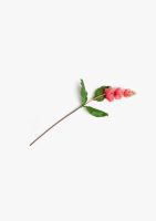 Medinilla Spray kunstbloem H110cm