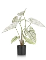 Caladium H60cm Kunstpflanze