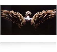 Angel Wings fotoschilderij 80x150cm