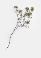 Hydrangea maple spray kunstbloem H120cm