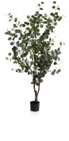 Eucalyptus Tree kunstplant H180cm