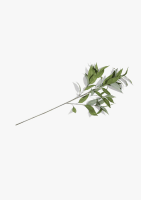 Eucalypthus Spray H93cm