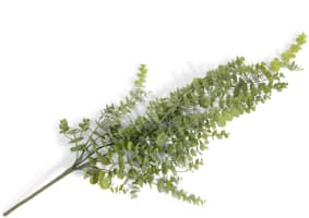 Eucalyptus Hanging Vine H120cm Kunstblume