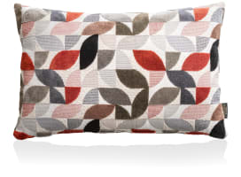 BeautiQ - Elite kussen 40x60cm