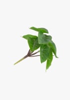 Anthurium Mini Bush H13cm kunstbloem