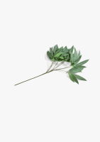 Eucalyptus branch H95cm