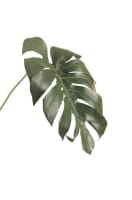 Monstera Leaf kunstbloem H55cm