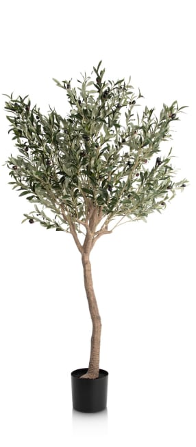 COCOmaison, Olive Tree H180cm Kunstpflanze - Gruen