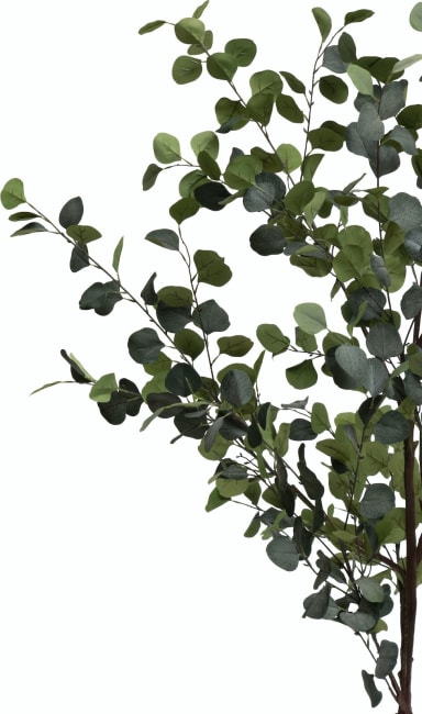 COCOmaison, Eucalyptus Tree Kunstpflanze H180cm - Gruen