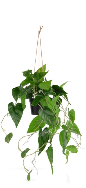 COCOmaison, Philodendron Scandens H80cm Kunstpflanze - Gruen