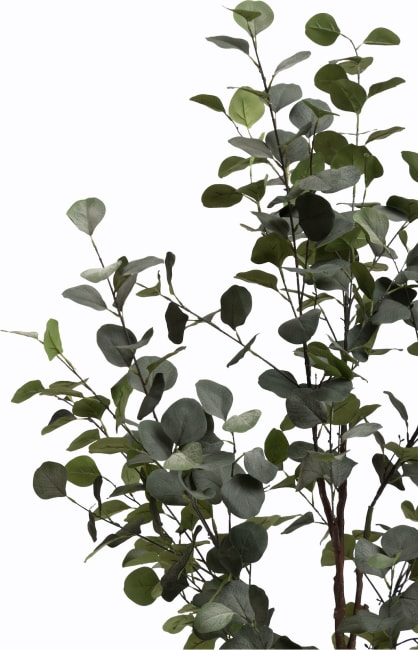 Mica Decorations Eucalyptus Kunstplant in Pot - H113 x 40 cm - Groen | Leen Bakker