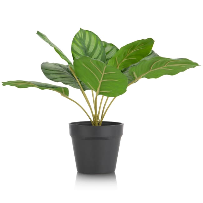 COCOmaison, Calathea Orbifolia H45cm Kunstpflanze - Gruen