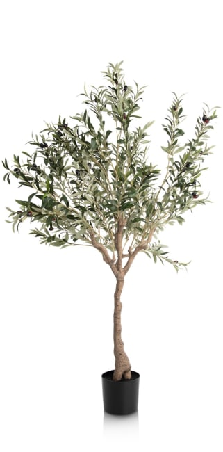 COCOmaison, Olive Tree H150cm Kunstpflanze - Gruen