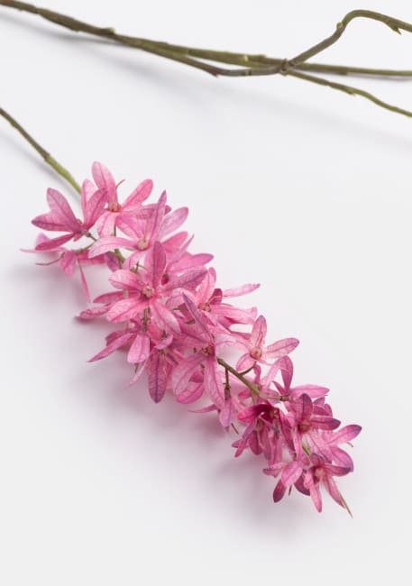 COCOmaison, WISTERIA KUNST BLUME H120CM - Pink