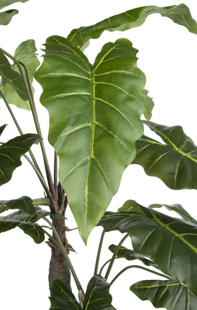 Alocasia Giant Tree H180cm Kunstplant