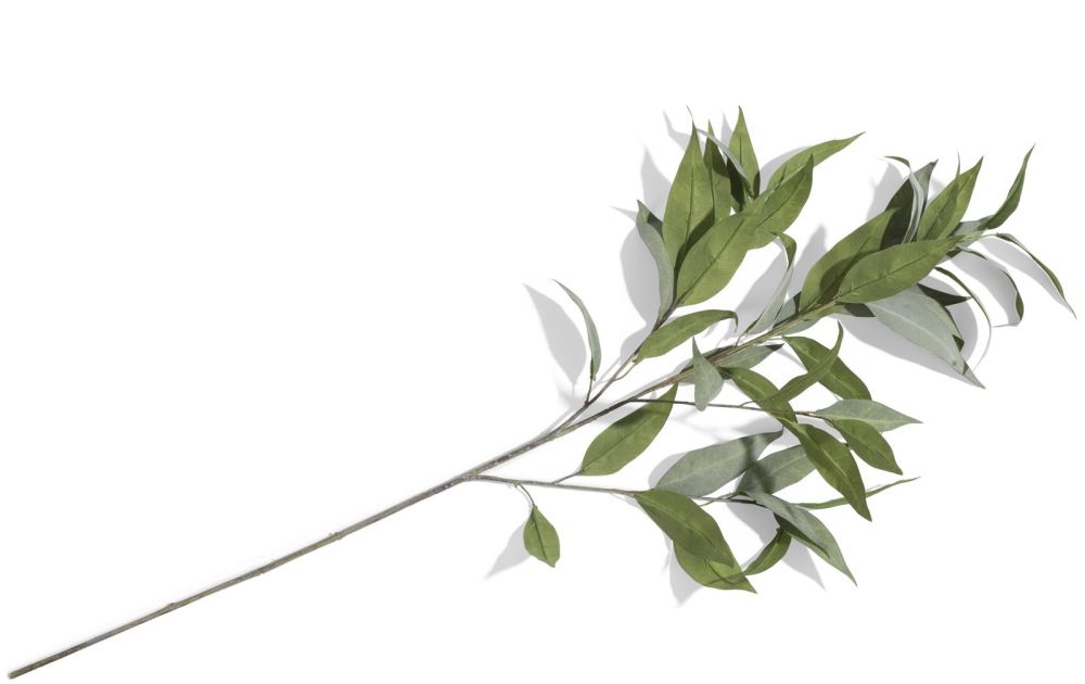 Eucalypthus Spray H93cm