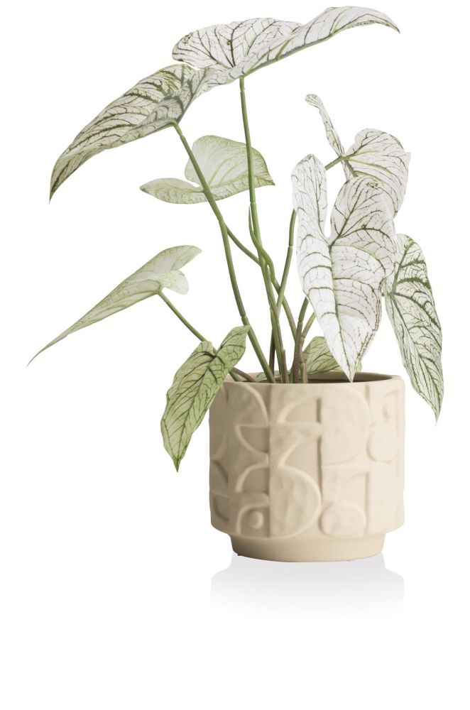 Alex Pot D21cm