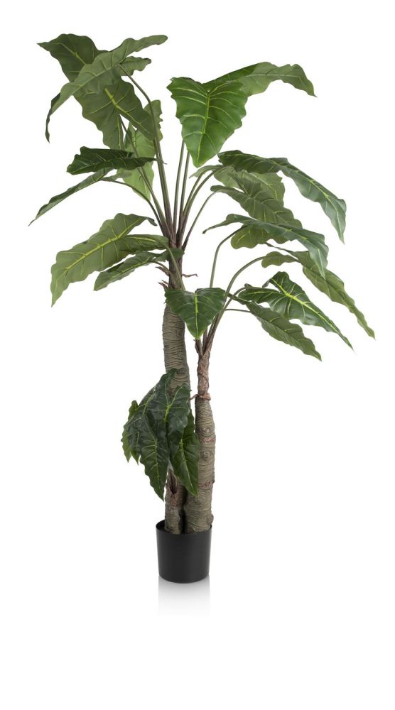 Alocasia Giant Tree H180cm Kunstplant