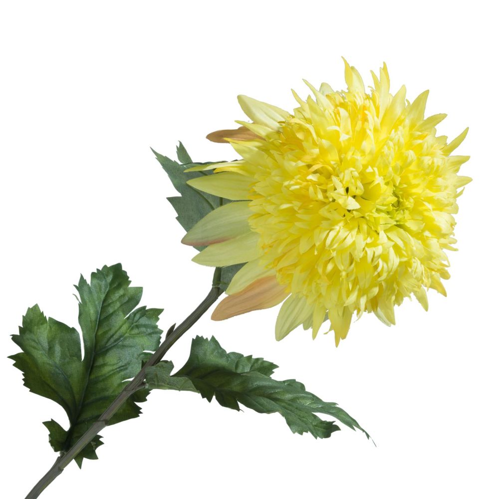 Chrysanthemum H75cm