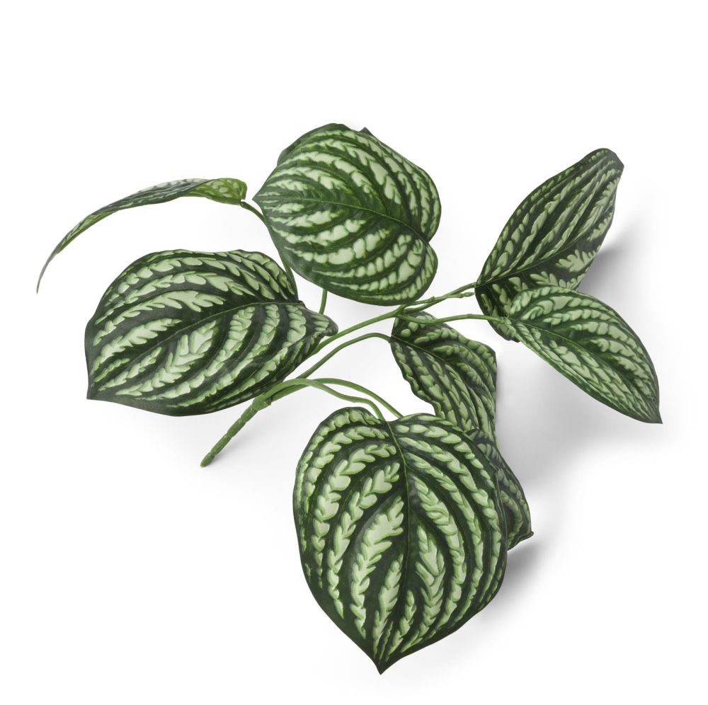 Peperomia Bush Kunstbloem H30cm