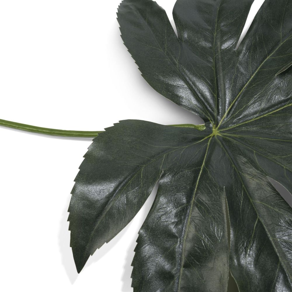 Fatsia Leaf Kunstbloem H55cm