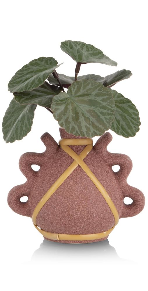 Saxifrage Mini Bush H13cm Kunstbloem