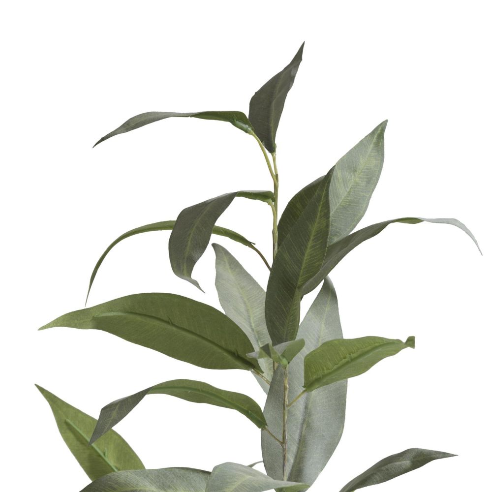 Eucalypthus Spray H93cm