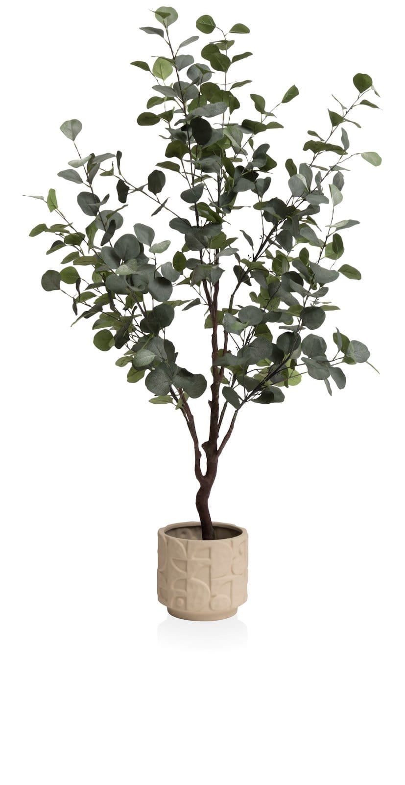 Eucalyptus Tree kunstplant (H140cm) in de kleur Groen