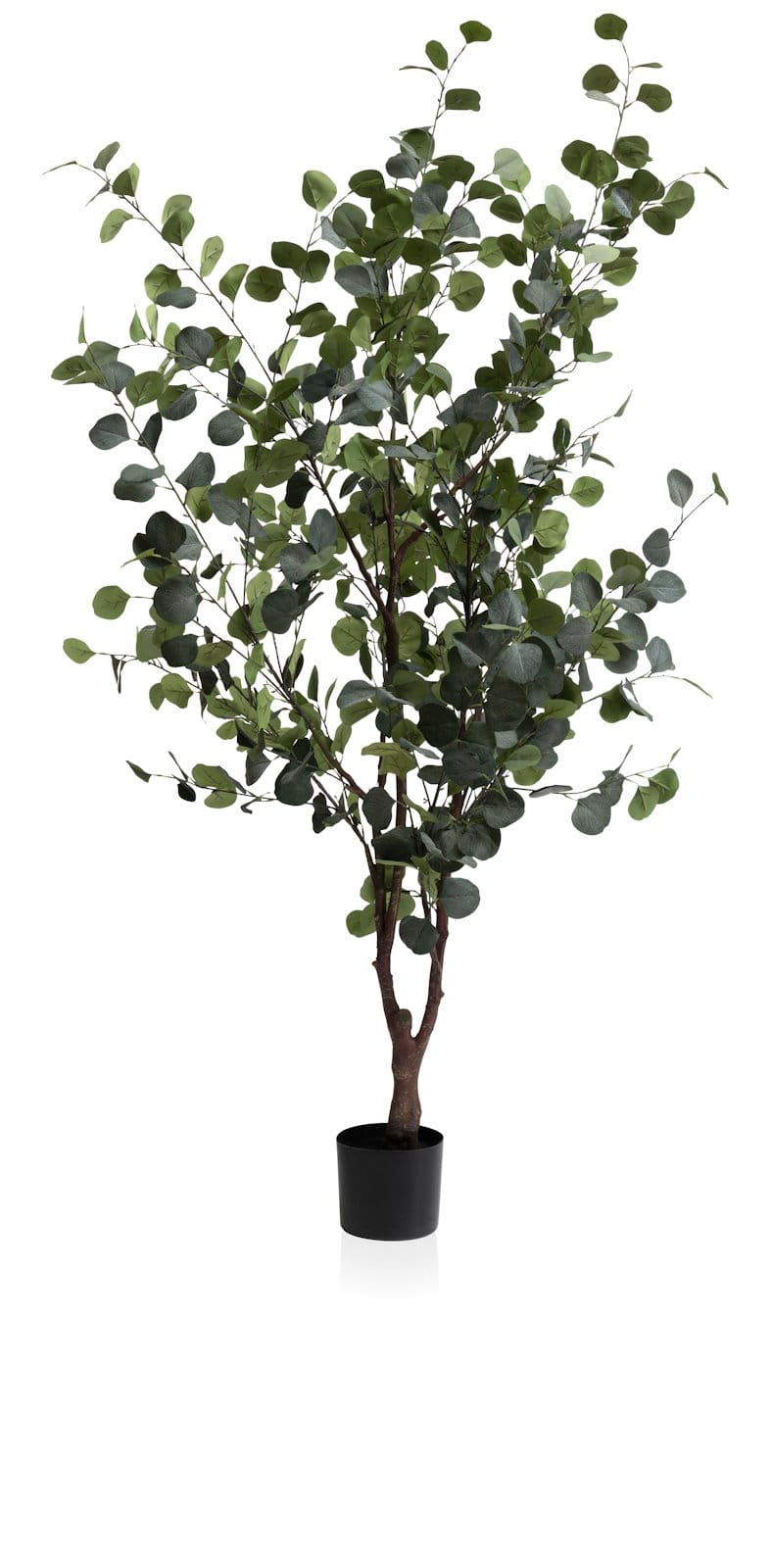 COCOmaison, Eucalyptus Tree Kunstpflanze H180cm - Gruen