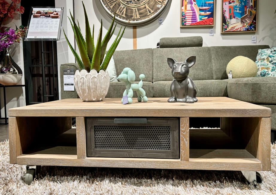 Table basse 110 x 60 cm + 1-tiroir T&T + 2-niches