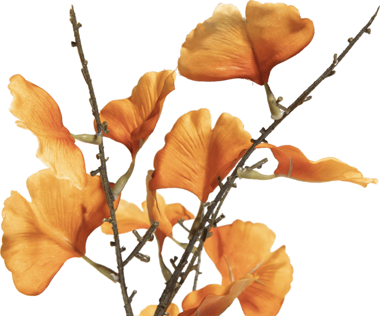 COCOmaison - Coco Maison - Authentique - Ginkgo fleur artificielle H90cm