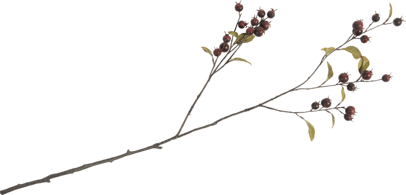 XOOON - Coco Maison - Cornus Berry artificial flower H100cm