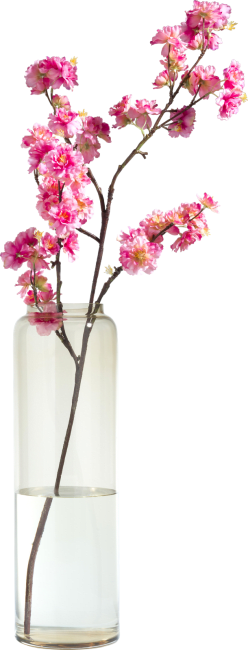 COCO maison - Coco Maison - Cherry blossom spray H120cm