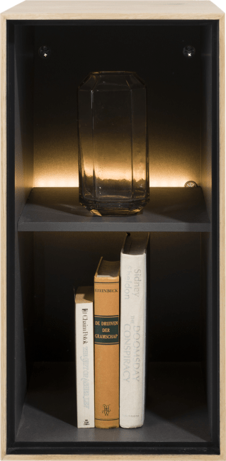 XOOON - Elements - Minimalistisches Design - Box 60 x 30 cm. - Holz - zum aufhaengen + 2-Nischen + Led