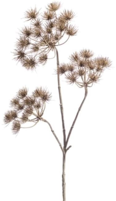 COCOmaison - Coco Maison - Heracleum Branch fleur artificielle H102cm